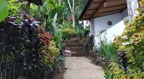Puri Sunset Homestay - Image 4