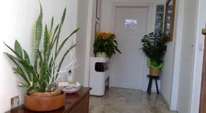 B&B Magenta - Image 5
