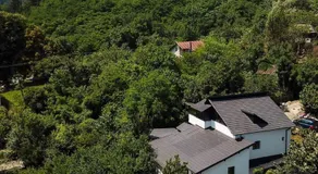 Upforest Guesthouse - Image 5