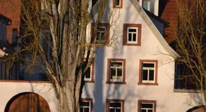 maindrei - schlafen am fluss - Image 5