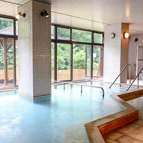Shiobara Onsen Ryokan Majimaso - Image 4