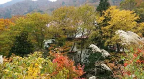 Tenjin Lodge - Image 5