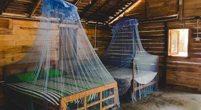Salty Mango Resort - Image 2
