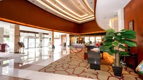 Shijiazhuang Meilihua Grand Hotel Provincial Museum Branch - Image 2