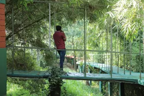 Riverwood resort vythiri - Image 4