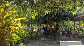 Chez ma mère Homestay - Image 5