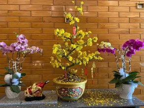 An Thái Hotel - Image 4