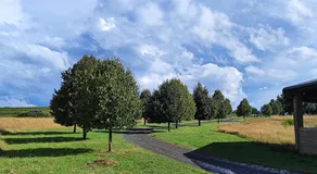 Domaine équestre de la Chênaie - Image 5
