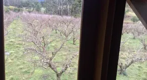 Pousada Sabor da Roça - Image 4