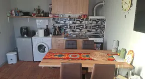 Cactus house - Image 2