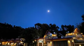 The Jungle Hook Binsar - Image 2
