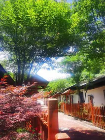 Tongchuan Chujian Homestay - Image 3
