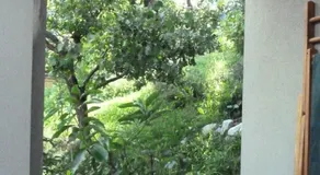 B&B Rosenrot - Image 5