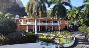 The Blue Orchid B&B - Image 4
