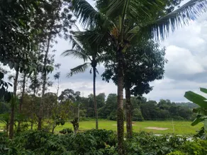 Tiger's corner Cottages and Plantation stay - Image 5