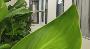 Mango Homestay Hà Tiên - Image 5