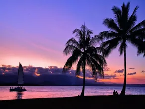 Port Douglas Valley Retreat - Image 4
