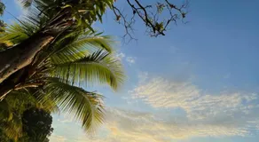 Ceiba lodge - Image 5