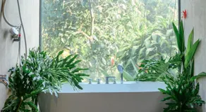 Dancasa Horse Farm & Homestay - Image 3