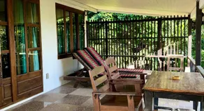 The Green Palm - Image 4
