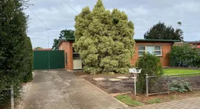 Large Home and Yard Gateway to Barossa, Davoren Park - Image 5