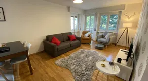 Clotes modern apartment, 50m from slopes - sleeps 6-8, 2 bath - SauzeHoliday - Image 2
