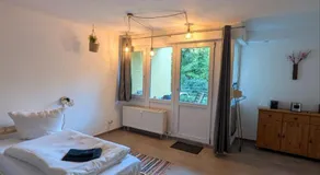 Eigenes ruhiges Appartement mit Küche und Terasse Chemnitz - Image 2