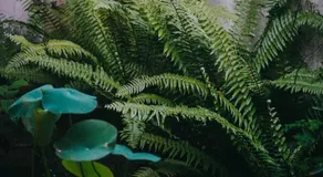 Harmonic Hideout - Image 3