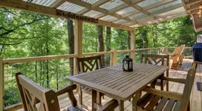 Mountain Laurel Tree House - Image 4
