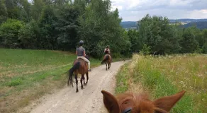Świerkowe Rancho - Image 5