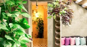 The Iskemleci Guest House - Image 3