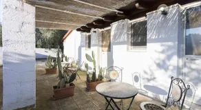 Eloka - Image 5