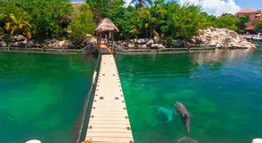 Estudio Cerca del mar, en Puerto Aventuras #201 - Image 2