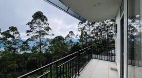 Misty Cloud - Image 5