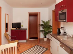 Modern Holiday Home in Brixen im Thale with Garden - Image 2
