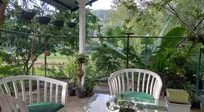 Mahaweli Shades - Image 5