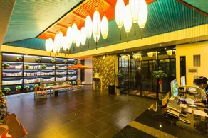 A Ray of Sunshine Travel Inn (University Town Branch) - Image 3
