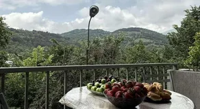 Sweet home 55 in the heart of Dilijan - Image 4