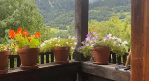 Casa Vegana - Image 5