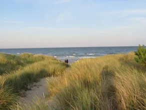 Elegant Holiday Home in Ålbæk near Sea - Image 5