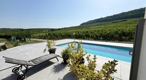 Domaine Wagenbourg Bickel proche de Colmar - Image 3