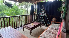 Gracias Madre Jungle and Ocean View Cabins - Image 4