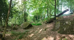 Le Domaine des Roches' L - Image 5