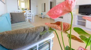 Guardamar playa - Image 2