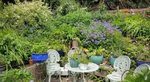 Tracebridge Cottage B&B - Image 5