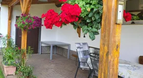 NEU! FeWo einfach Spreewald - Image 4