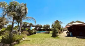 Agricantus 2000 - Image 4