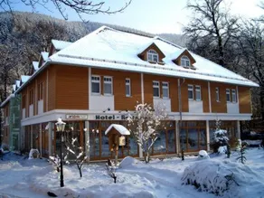 Kurpark Hotel Im Ilsetal - Image 5