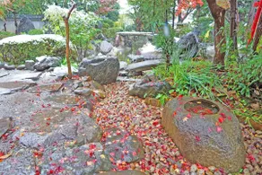 日本庭園古民家　飯田屋　Traditional experience iidayajapan - Image 5