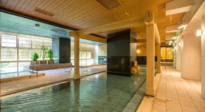 Kinugawa Onsen Hotel - Image 4